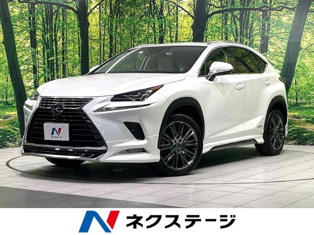 レクサス NX NX300h バージョンL サンルーフ 純正10