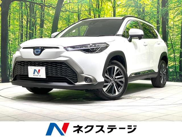 饯θ ر֡ʥӵǽդǥץ쥤ǥХå 1