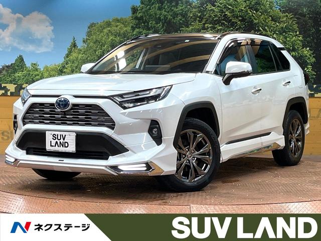 ＲＡＶ４ ハイブリッドＧ　パノラマルーフ　モデリスタエアロ　１０型ナビ　全周囲カメラ　禁煙車　パワーバックドア　シートエアコン　デジタルインナーミラー　ブラインドスポットモニター　セーフティセンス　純正１９アルミ　ＥＴＣ（1枚目）