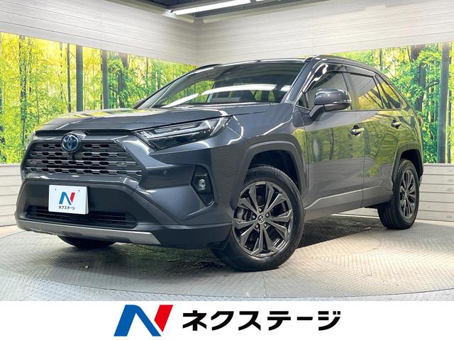 ＲＡＶ４　栃木県 サンルーフ　純正１０．５型ディスプレイオーディオ　全周囲カメラ　ＥＴＣ
