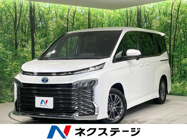 ヴォクシー　神奈川県 両側電動ドア　バックカメラ　衝突軽減装置　レーダークルーズ　禁煙車