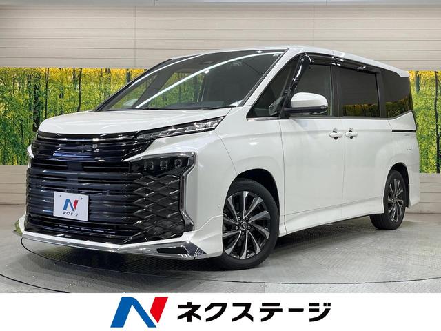 ヴォクシー　愛知県 純正１０型ディスプレイオーディオ　快適利便パッケージ　後席モニター