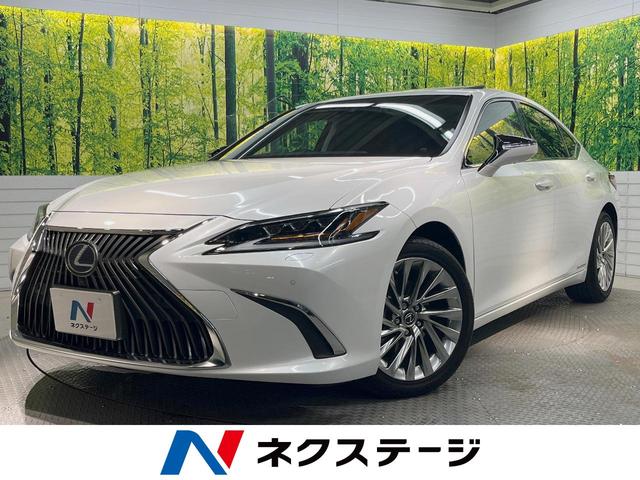 ＥＳ　埼玉県 マークレビンソンサウンド　衝突被害軽減システム　１００Ｖ電源　禁煙車
