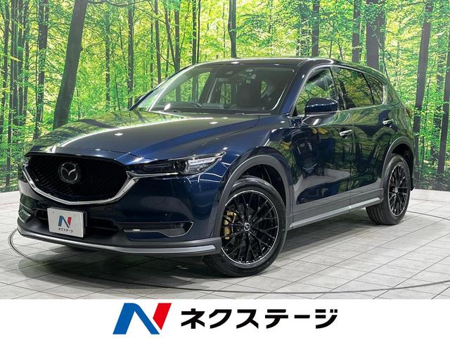 ＣＸ－５ ２５Ｓ　Ｌパッケージ　純正ナビ　バックカメラ　スマートブレーキサポート　レーダークルーズ　禁煙車　電動リヤゲート　黒革シート　パワーシート　シートヒーター　ＥＴＣ　ドラレコ　スマートキー　ＬＥＤヘッド　オートライト（1枚目）
