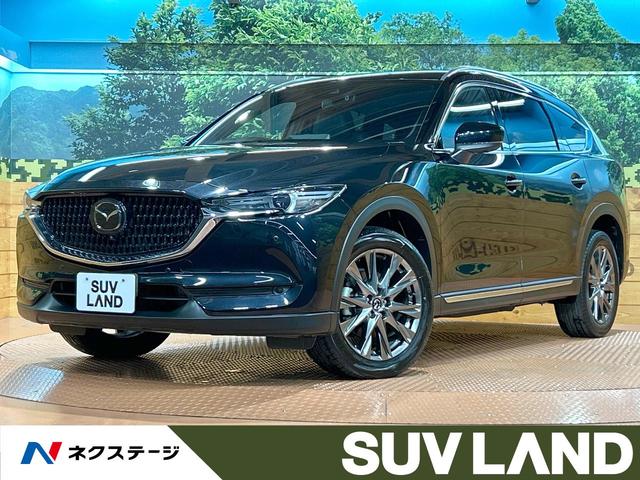 ＣＸ－８　千葉県 禁煙車　全周囲カメラ　１０型ナビ　フルセグ　本革シート