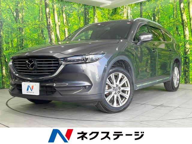 ＣＸ－８　宮崎県 純正ナビ　衝突被害軽減システム　全周囲カメラ　レーダークルーズ　ＥＴＣ