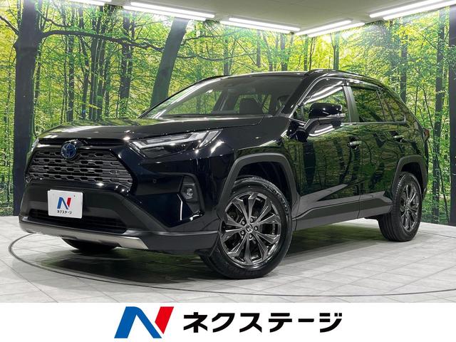 ＲＡＶ４ ハイブリッドＧ　純正ＳＤナビ　バックカメラ　禁煙車　衝突軽減装置　レーダークルーズ　スマートキー　パワーバックドア　スマートキー　パワーシート　シートヒーター　オートライト　オートマチックハイビーム　ＬＥＤヘッド（1枚目）