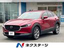 carPhoto