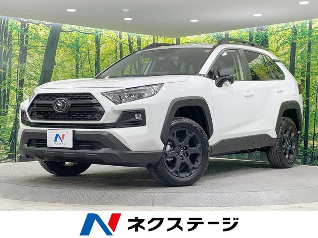 ＲＡＶ４　北海道 登録済未使用車　純正１０型ＤＡ　バックカメラ　衝突軽減　レーダークルーズ