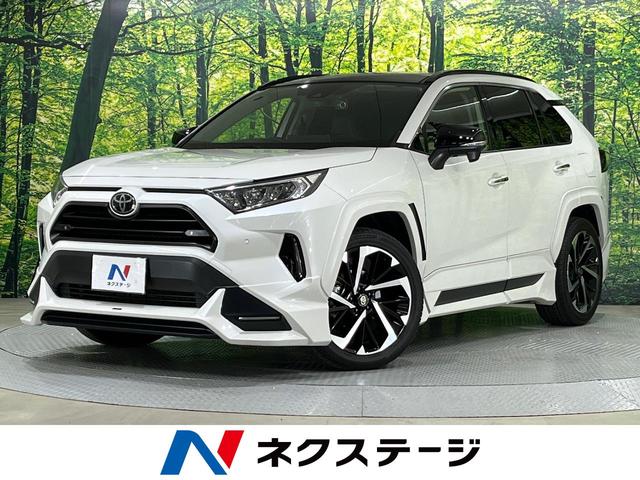 ＲＡＶ４　千葉県 禁煙車　ＴＲＤエアロ　サンルーフ　９型ＢＩＧ－Ｘ　バックカメラ