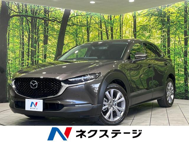 ＣＸ－３０ ＸＤ　プロアクティブ　ツーリングセレクション　４ＷＤ　ターボ　純正８．８型ナビ　全周囲カメラ　スマートブレーキサポート　レーダークルーズ　パワーバックドア　前席シートヒーター　パワーシート　パーキングセンサー　スマートキー　ＬＥＤヘッド　ＥＴＣ（1枚目）