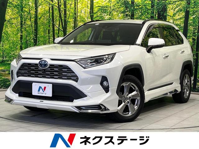 ＲＡＶ４ ハイブリッドＧ　４ＷＤ　モデリスタフルエアロ　全周囲カメラ　寒冷地仕様　衝突軽減装置　レーダークルーズ　禁煙車　電動リアゲート　ハーフレザーシート　パワーシート　ドラレコ　コーナーセンサー　ブラインドスポットモニター（1枚目）