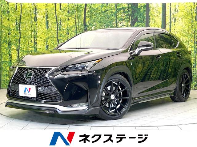 ＮＸ ＮＸ２００ｔ　Ｆスポーツ　メーカーナビ　バック・サイドモニター　レーダークルーズ　ＢＬＩＴＺ車高調　２０インチＡＷ　シートヒーター　ベンチレーション　角型三眼ＬＥＤヘッド　メモリーパワーシート　ＥＴＣ　スマートキー（1枚目）