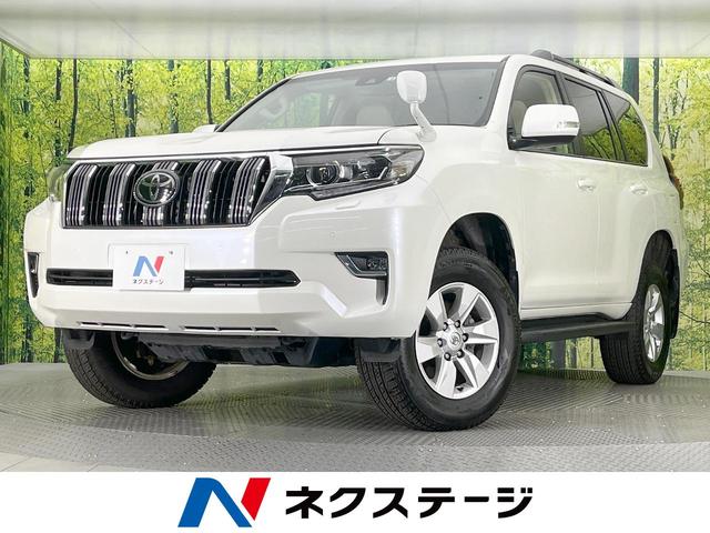 ランドクルーザープラド　愛知県 サンルーフ　ＳＤナビ　衝突軽減装置　レーダークルーズ　バックカメラ