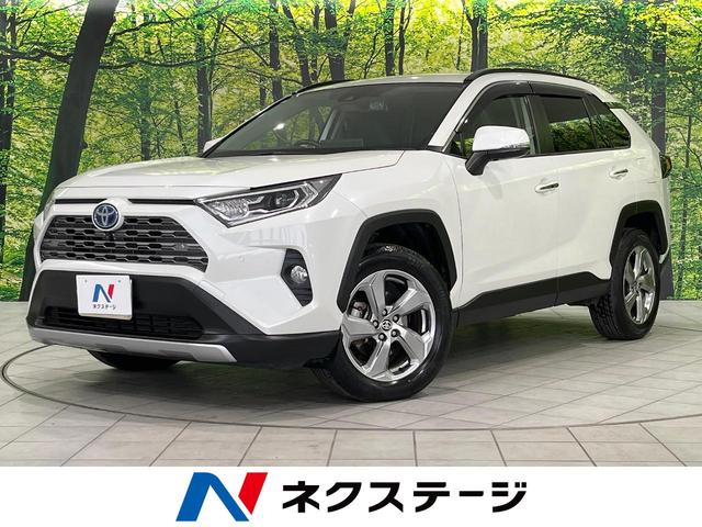 ＲＡＶ４　北海道 ８インチ純正ＤＡ　全周囲カメラ　衝突被害軽減システム　レーダークルーズ