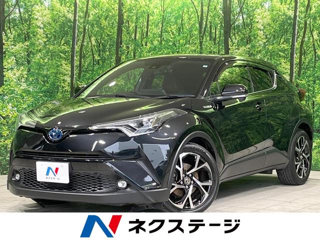 Ｃ－ＨＲ　神奈川県 純正９型ナビ　バックカメラ　衝突軽減装置　レーダークルーズ　ＬＥＤヘッド