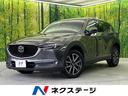carPhoto