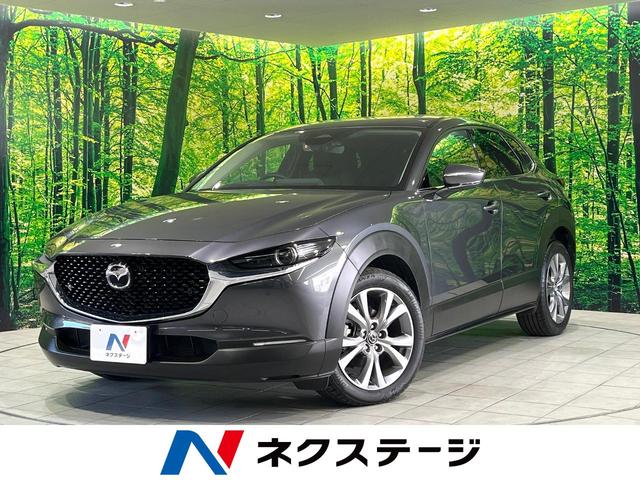 CX−30(マツダ) 20S プロアクティブ 禁煙車 純正8型ナビ バックカメラ 衝突被害軽減システム レーダークルーズ ドラレコ コーナーセンサー スマートキー LEDヘッド ETC オートハイビーム オートライト デュアルエアコン 中古車画像