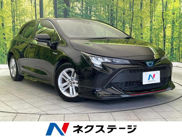 饹ݡġθ ر֡ʥӡХå顡졼롼ţԣáե륻ԣ 1