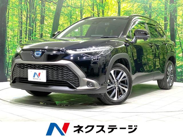 饯θ ر֡ǥץ쥤ǥХå顡ﳲڸƥ 1
