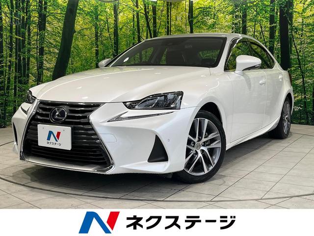 ɣӡϸ ʥӡХå顡졼롼ȥ롡£ӣ 1