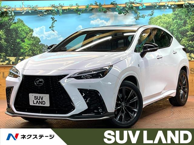 Σء ϥ顡֥饤ɥݥåȥ˥졼롼סţԣ 1