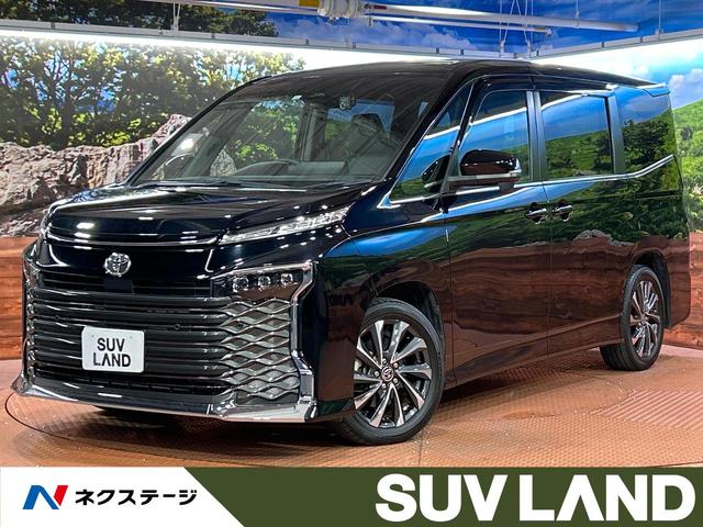 ȥ西  ӡݣڡǥץ쥤ǥХå顡ȥ西եƥ