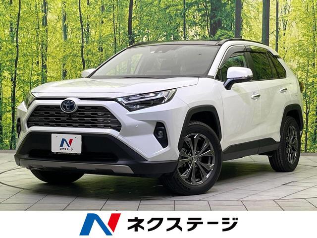 ȥ西 ң֣ ϥ֥åɣǡףġ롼աϥ