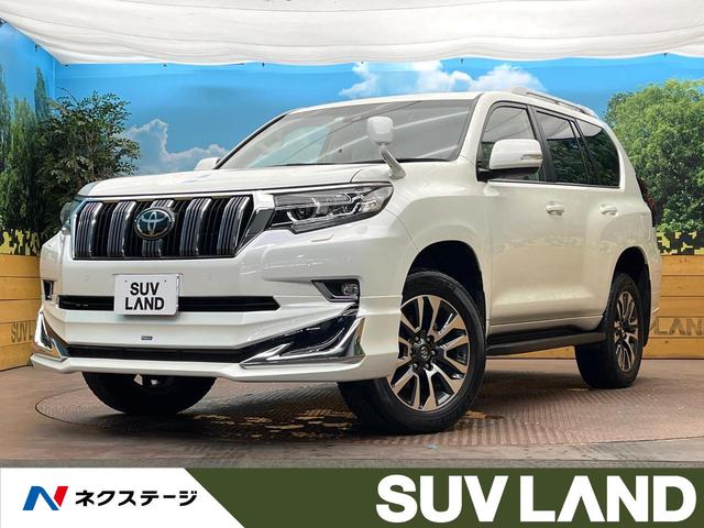 ランドクルーザープラド 大阪府 サンルーフ モデリスタエアロ BIG-X9インチナビ