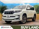 ランドクルーザープラド 大阪府 サンルーフ モデリスタエアロ BIG-X9インチナビ