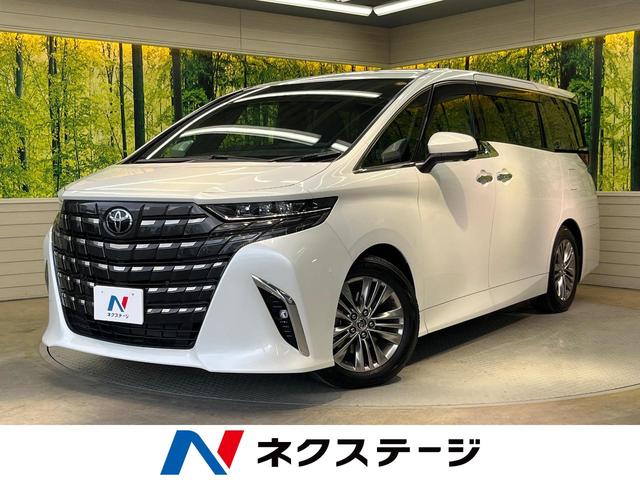 アルファードハイブリッド 岐阜県 ガラスルーフ 後席モニター 14型ナビ サイドカメラ バックカメラ