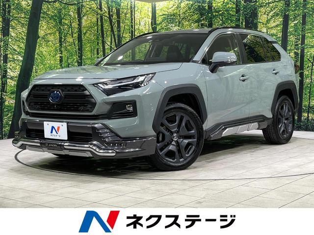 ȥ西 ң֣ ϥ֥åɥɥ٥㡼ףġʣϣӥǥץ쥤ǥ