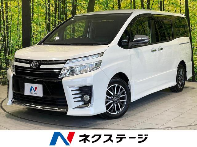 ʼ˸ ӣĥʥӡեåץ˥Хå顡ξ¦ѥ饤ɥɥ 1