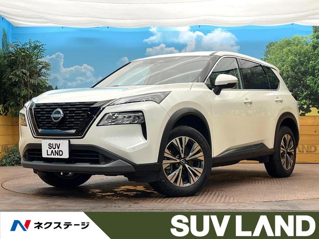 ȥ쥤롡 ץѥåȡʥӡϥ顡ǥ륤ʡߥ顼 1