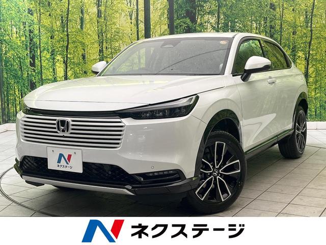 롡θ Ͽ̤Ѽ֡ʥӡϥ顡ﳲڸƥ 1