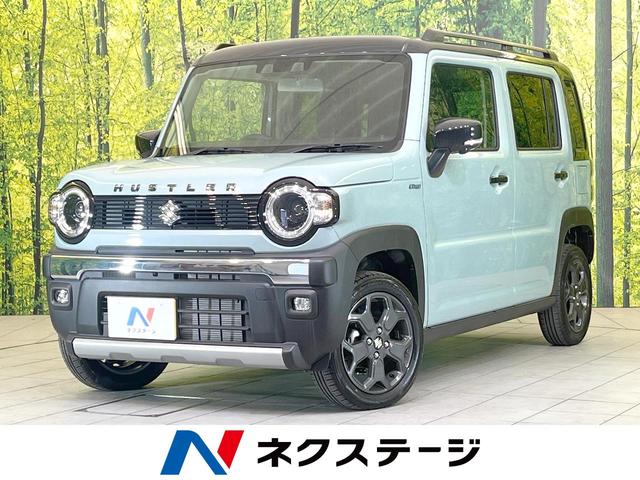  ϥ顼 ե磻ɡϥ顡ǥץ쥤ǥﳲڸƥ