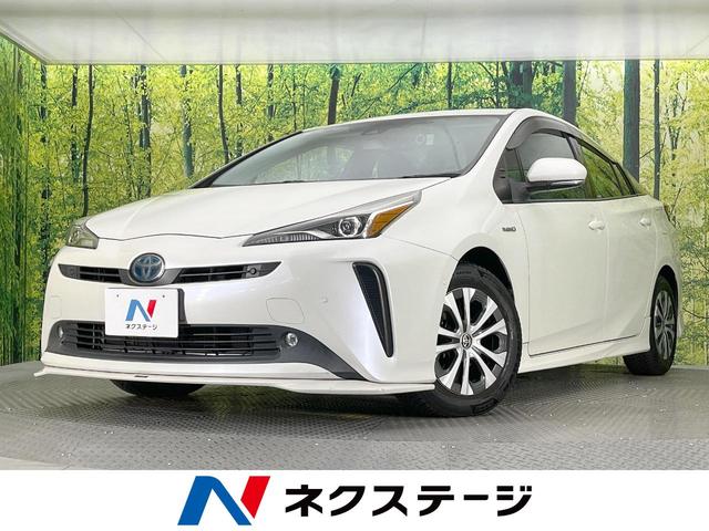 ץꥦθ ӣĥʥӡХå顡եƥ󥹡졼롼ر 1