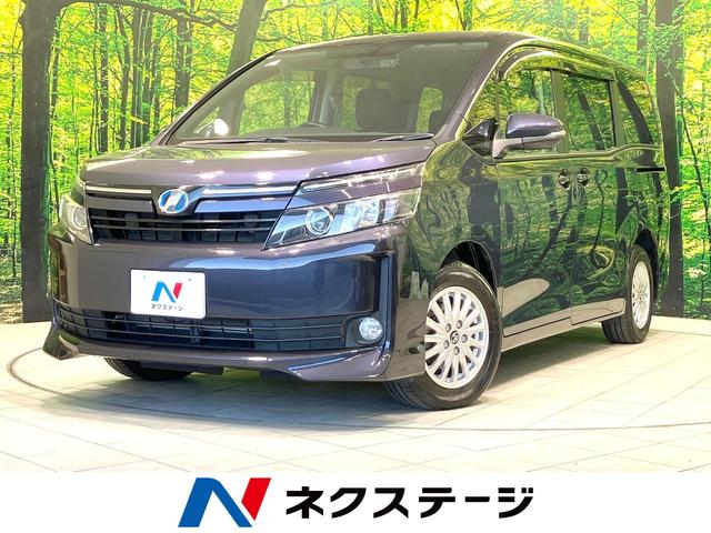 ȥ西  ϥ֥åɣ֡ر֡եåץ˥ӣĥʥ