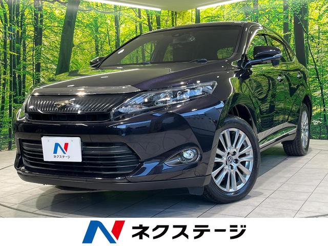 ϥꥢϸ ﳲڸƥࡡ롼ȥ롡ر֡ѥХåɥ 1