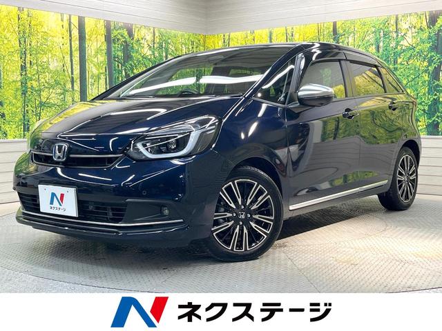 եåȡڸ ϥ顡ﳲڸƥࡡ졼롼ر 1