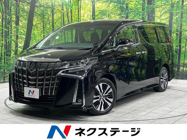 եɡ ʥӡХå顡եƥ󥹡ر֡ɥ쥳ţԣã 1