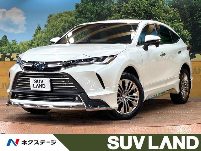 ϥꥢϥ֥åɡո ʥӡر֡ѥХåɥǥ륤ʡߥ顼£ӣ 1