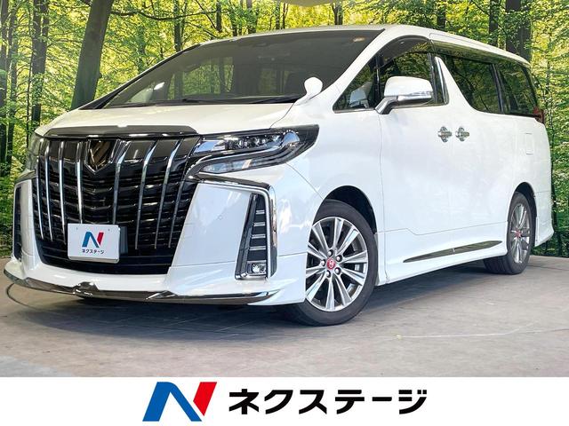 アルファード 静岡県 フルモデリスタエアロ 後席モニター 両側電動ドア バックカメラ