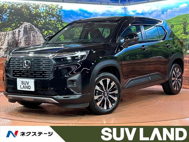 ףҡݣ֡ ʥӡХå顡ţԣáɥ饤֥쥳ۥ󥷥 1