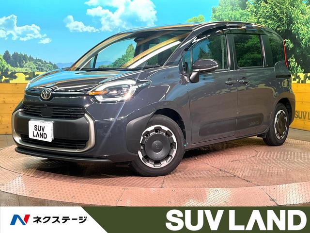 󥿡ʼ˸ ξ¦ưɥӣĥʥӡϥ顡ﳲڸƥࡡŸ 1