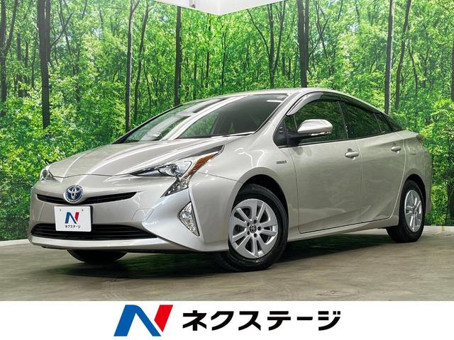 ȥ西 ץꥦ ӡףġӣĥʥӡХå