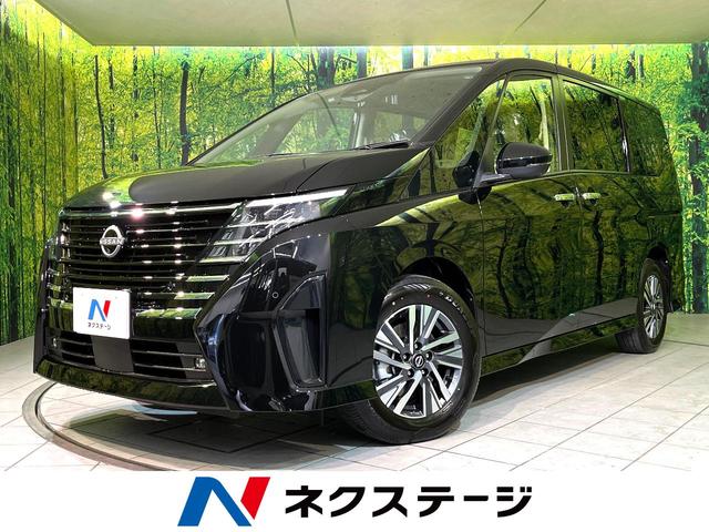 セレナ 長野県 プロパイロット メーカーナビ 全周囲カメラ ハンズフリー両側電動スライド