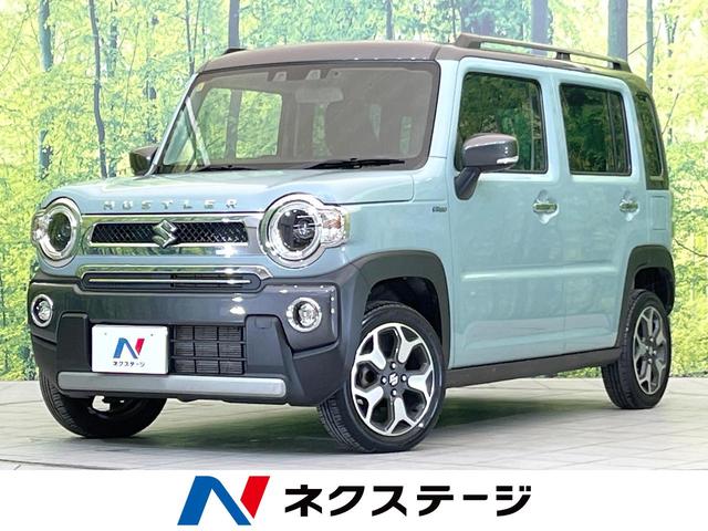 ϥ顼Ÿ ӣĥʥӡﳲڸƥࡡ졼롼ر֡ʡ 1