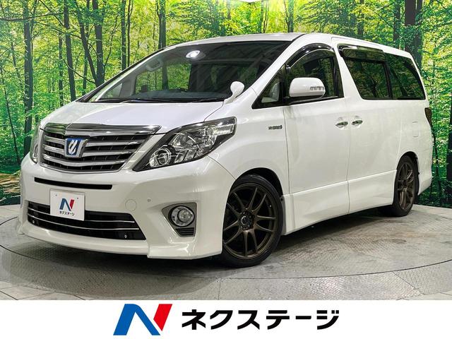 ȥ西 եɥϥ֥å ӣҡ롼աʥ˥