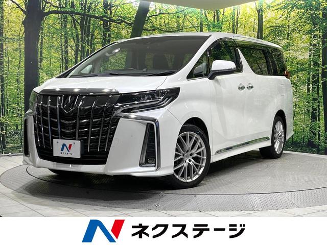 եɡ̳ƻ 졼롼ɥ쥳ʡ󥵡ޡȥ̣ţĥإå 1